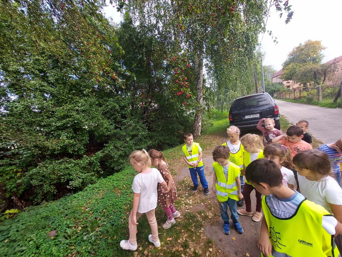 Zdjęcie: Powitanie Jesieni u Muchomorków