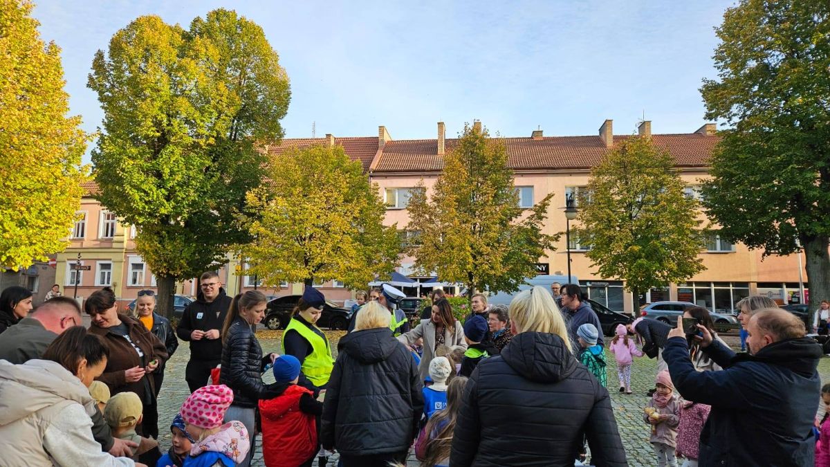 Zdjęcie: „Bezpieczny przedszkolak na drodze