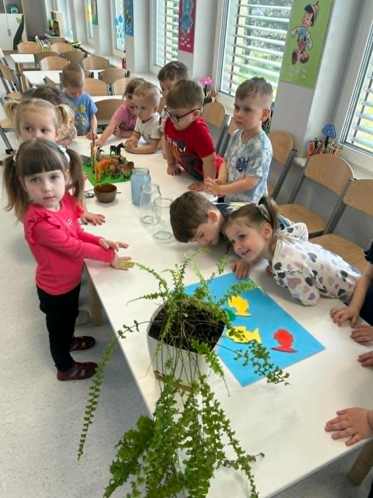 Zdjęcie: Kubusiowi Przyjaciele Natury: 