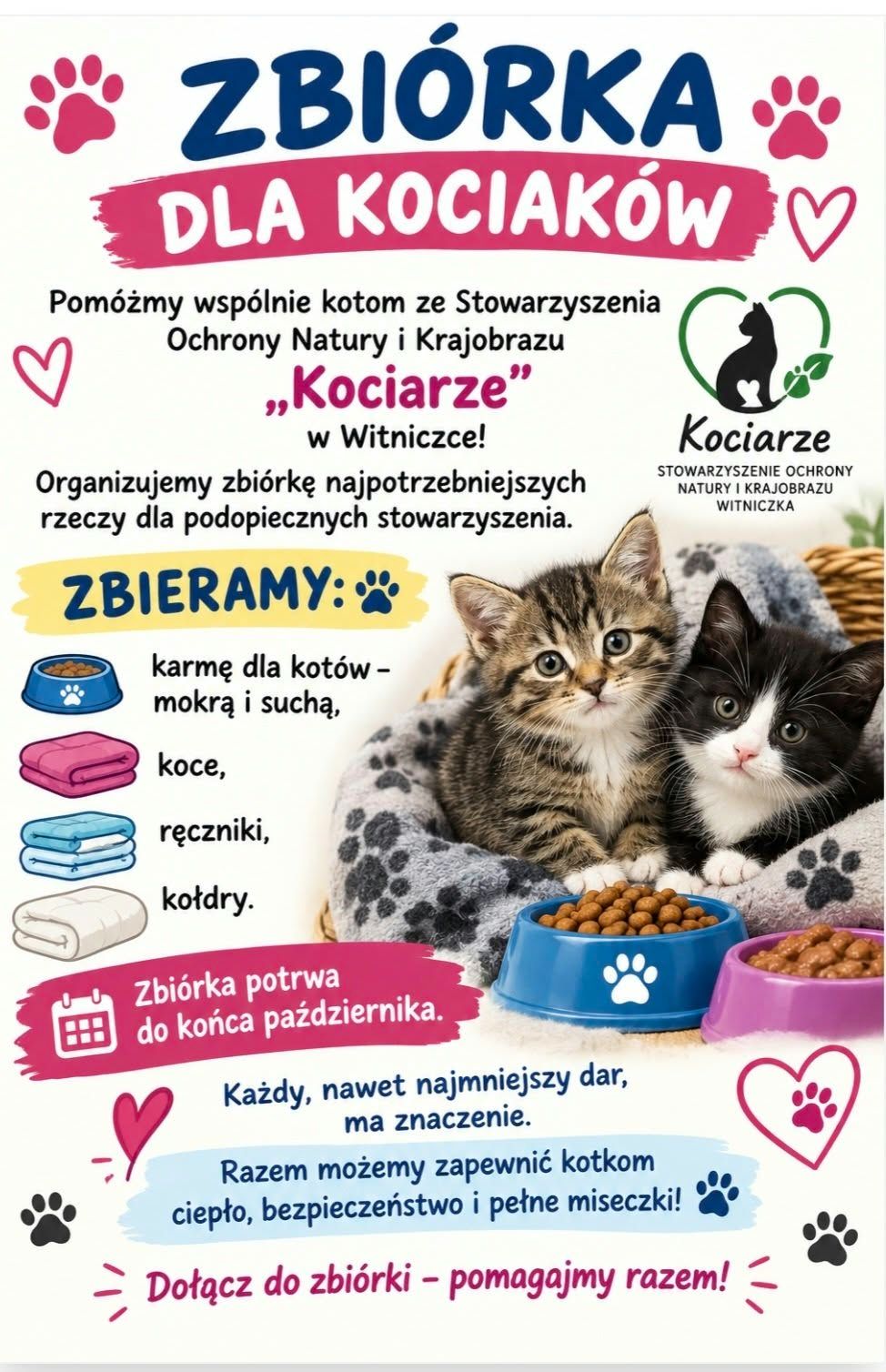 Zdjęcie: Zbiórka karmy dla kotów